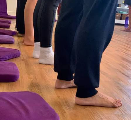 Studio Mariana Lobato - Jardim Botânico